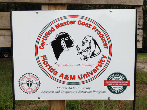 FAMU Certified Master Goat Producers